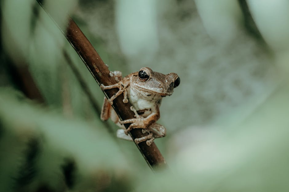 旅遊保險：讓你的旅行安心又愉快