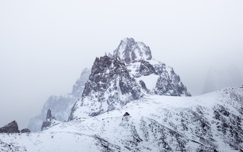 旅遊保險：旅途中的搞笑救星