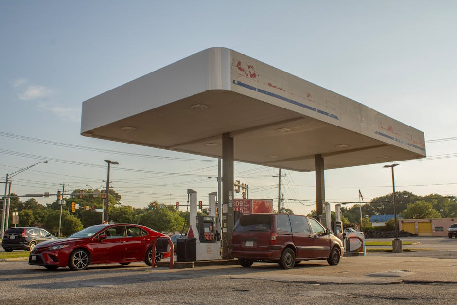 精油的科學與應用：建立專業信任的指南