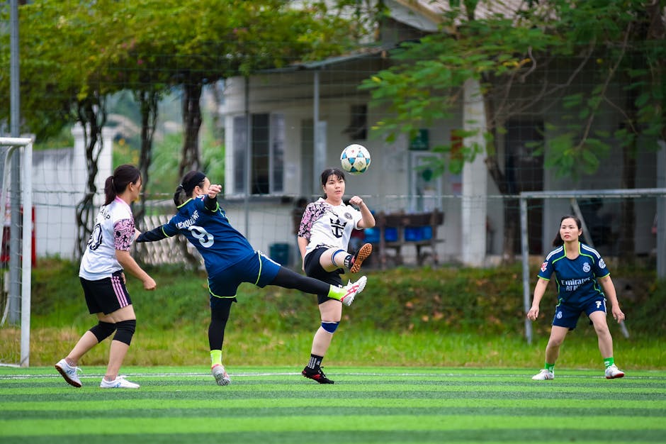 最新国际足球新闻全面分析