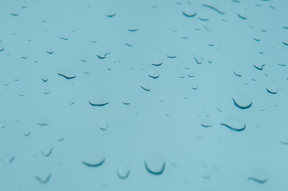 去頭油：有效控制頭皮油脂的報導分析